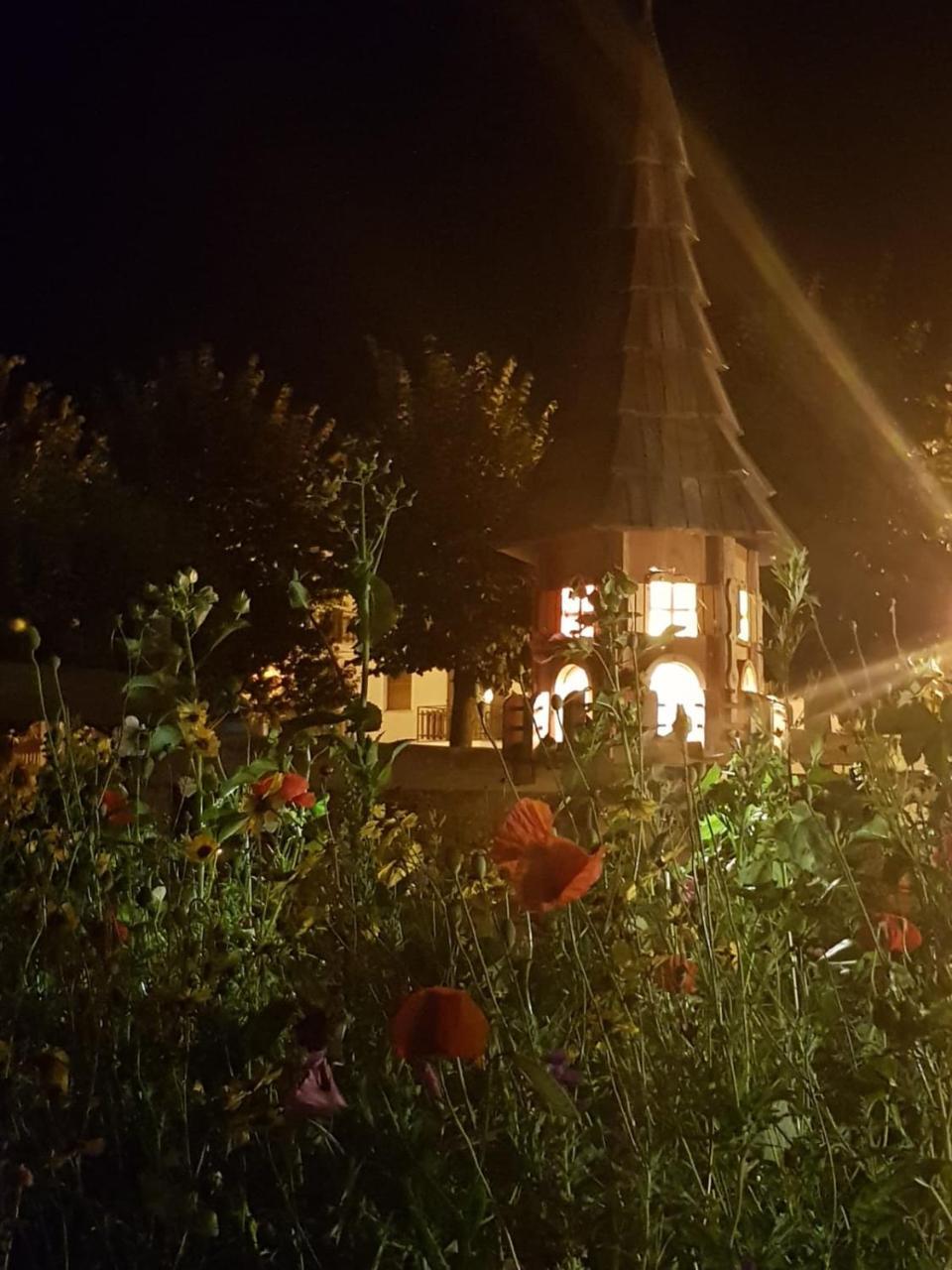 Hotel Edelweiss Pré-Saint-Didier Buitenkant foto